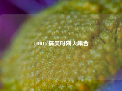 COD16 搞笑时刻大集合