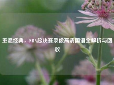 重温经典，NBA总决赛录像高清国语全解析与回放