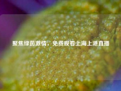 聚焦绿茵激情，免费观看上海上港直播