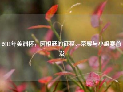 2011年美洲杯，阿根廷的征程、荣耀与小组赛首发