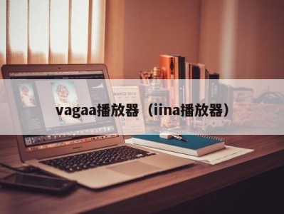 vagaa播放器（iina播放器）