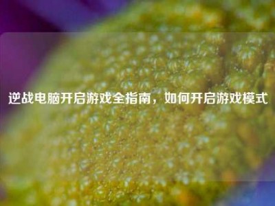 逆战电脑开启游戏全指南，如何开启游戏模式