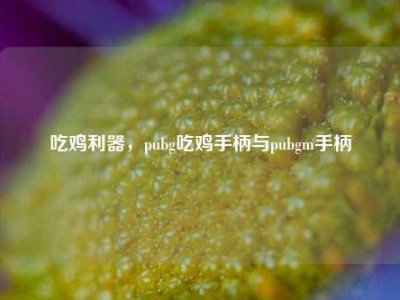 吃鸡利器，pubg吃鸡手柄与pubgm手柄