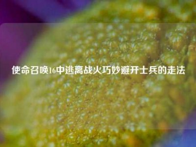 使命召唤16中逃离战火巧妙避开士兵的走法