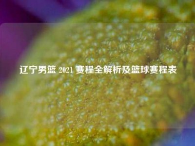 辽宁男篮 2021 赛程全解析及篮球赛程表