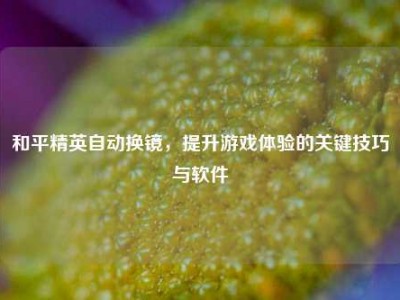和平精英自动换镜，提升游戏体验的关键技巧与软件