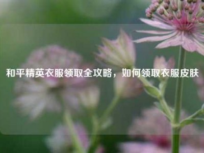 和平精英衣服领取全攻略，如何领取衣服皮肤