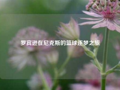 罗宾逊在尼克斯的篮球逐梦之旅