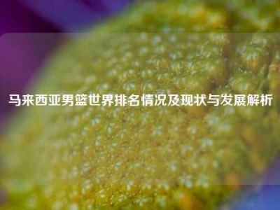 马来西亚男篮世界排名情况及现状与发展解析