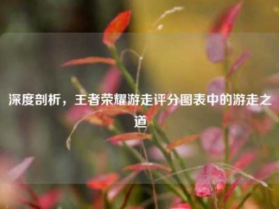 深度剖析，王者荣耀游走评分图表中的游走之道