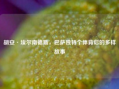 胡安·埃尔南德斯，巴萨独特个体背后的多样故事
