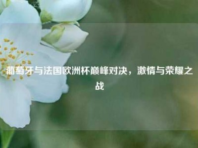 葡萄牙与法国欧洲杯巅峰对决，激情与荣耀之战