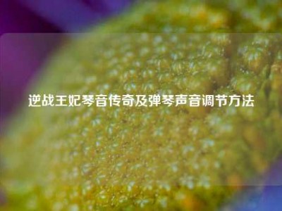 逆战王妃琴音传奇及弹琴声音调节方法