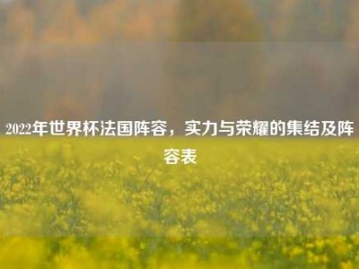 2022年世界杯法国阵容，实力与荣耀的集结及阵容表