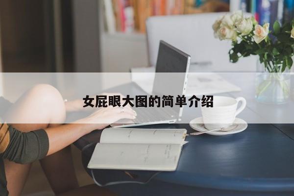 女屁眼大图的简单介绍