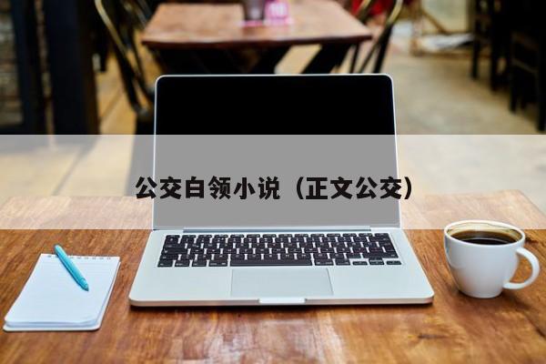 公交白领小说(正文公交)