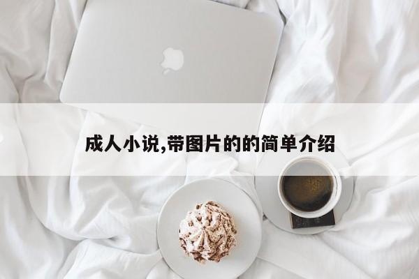 成人小说,带图片的的简单介绍