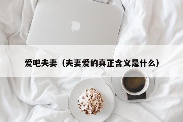 爱吧夫妻(夫妻爱的真正含义是什么)