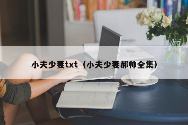 小夫少妻txt(小夫少妻郝帅全集)