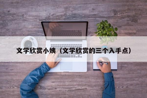 文学欣赏小姨(文学欣赏的三个入手点)