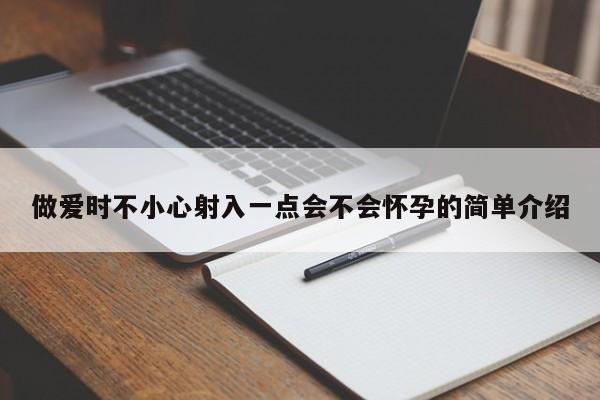 做爱时不小心射入一点会不会怀孕的简单介绍