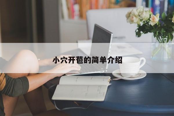 小穴开苞的简单介绍