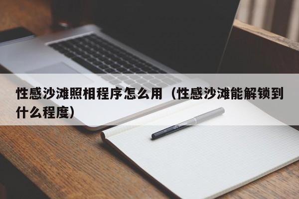 性感沙滩照相程序怎么用(性感沙滩能解锁到什么程度)