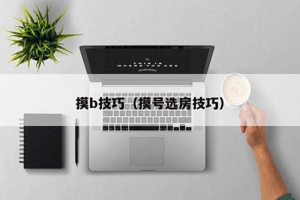 摸b技巧(摸号选房技巧)