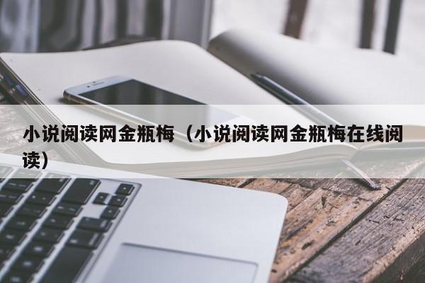 小说阅读网金瓶梅(小说阅读网金瓶梅在线阅读)