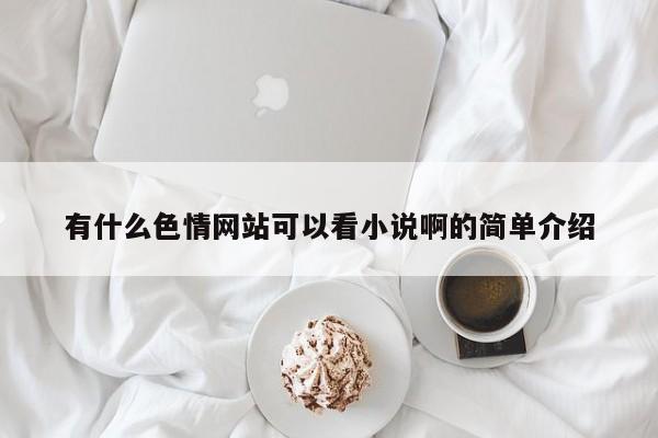 有什么色情网站可以看小说啊的简单介绍