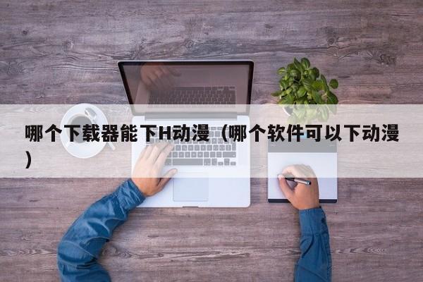 哪个下载器能下H动漫(哪个软件可以下动漫)
