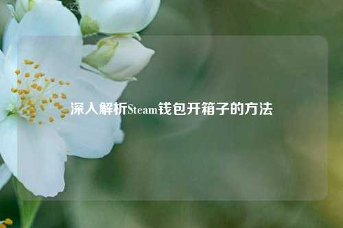 深入解析Steam钱包开箱子的方法