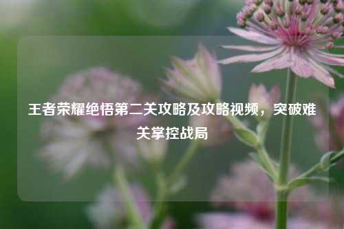 王者荣耀绝悟第二关攻略及攻略视频，突破难关掌控战局