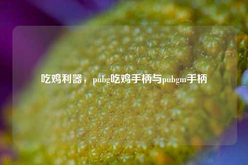 吃鸡利器，pubg吃鸡手柄与pubgm手柄
