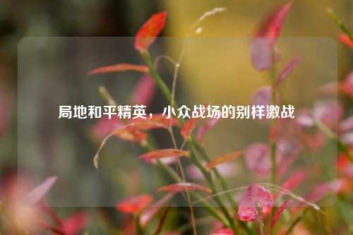 局地和平精英，小众战场的别样激战