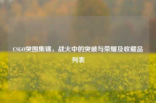 CSGO突围集锦，战火中的突破与荣耀及收藏品列表
