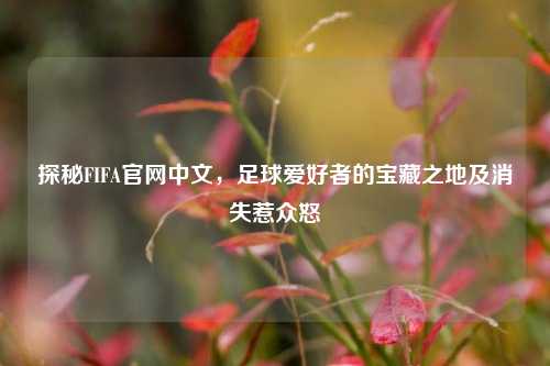探秘FIFA官网中文，足球爱好者的宝藏之地及消失惹众怒