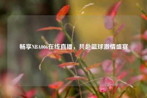 畅享NBA006在线直播，共赴篮球激情盛宴