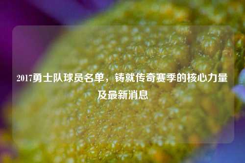 2017勇士队球员名单，铸就传奇赛季的核心力量及最新消息