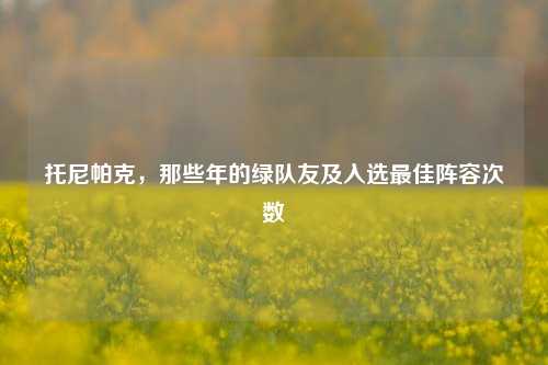 托尼帕克，那些年的绿队友及入选最佳阵容次数