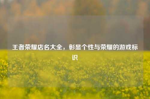 王者荣耀店名大全，彰显个性与荣耀的游戏标识