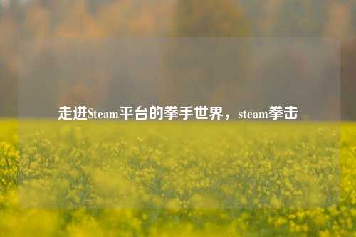走进Steam平台的拳手世界，steam拳击