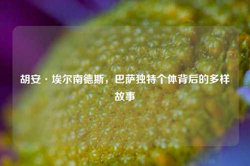 胡安·埃尔南德斯，巴萨独特个体背后的多样故事