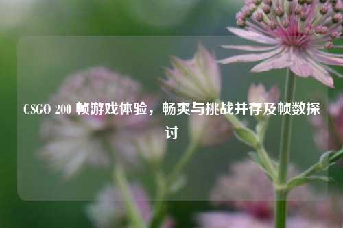 CSGO 200 帧游戏体验，畅爽与挑战并存及帧数探讨