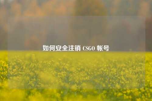 如何安全注销 CSGO 帐号