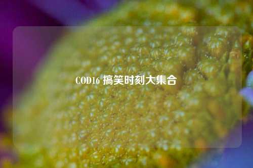 COD16 搞笑时刻大集合