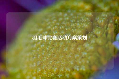 羽毛球比赛活动方案策划