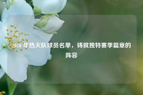 2016 年热火队球员名单，铸就独特赛季篇章的阵容