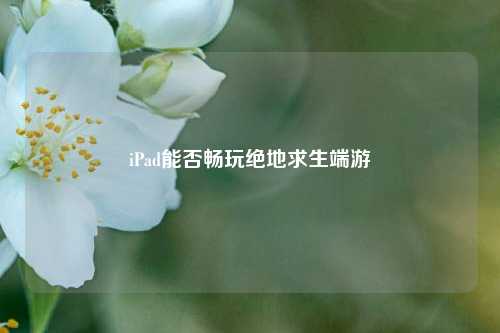 iPad能否畅玩绝地求生端游