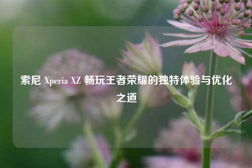 索尼 Xperia XZ 畅玩王者荣耀的独特体验与优化之道